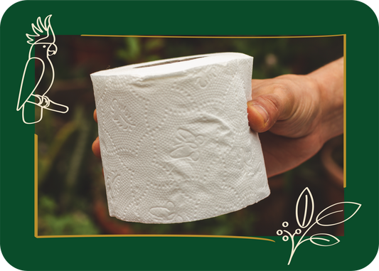 When Was Toilet Paper Invented?